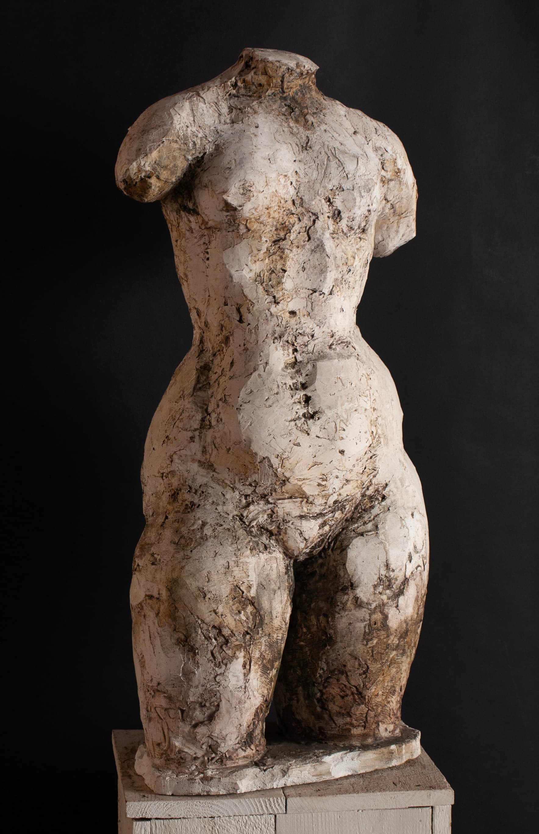 Art with the title "Large Torso".