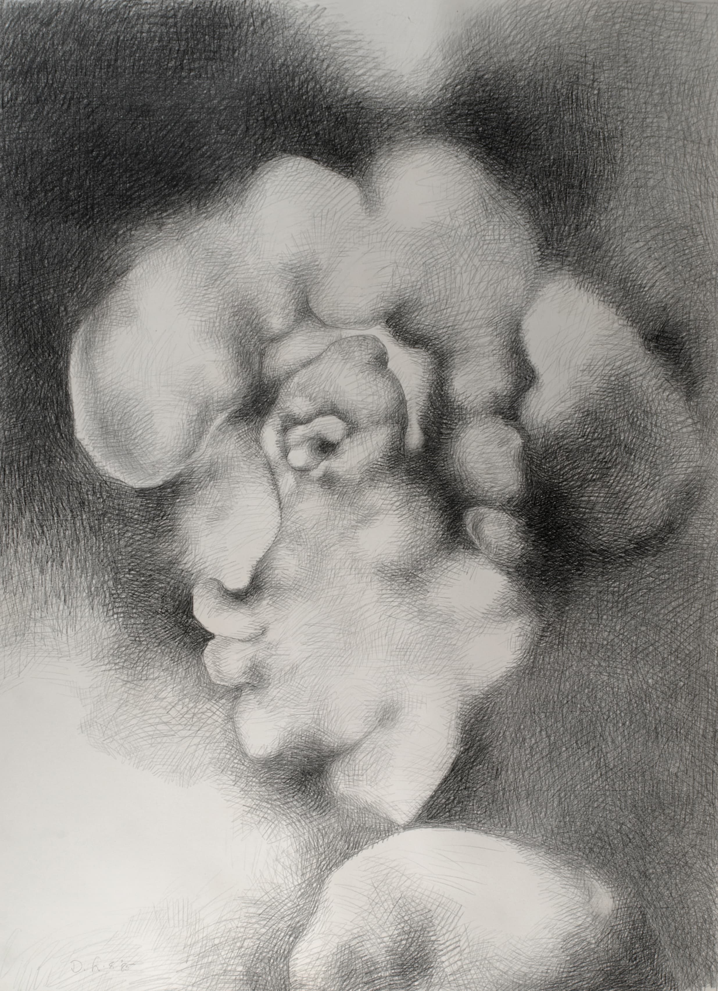 Art with the title "French Head".