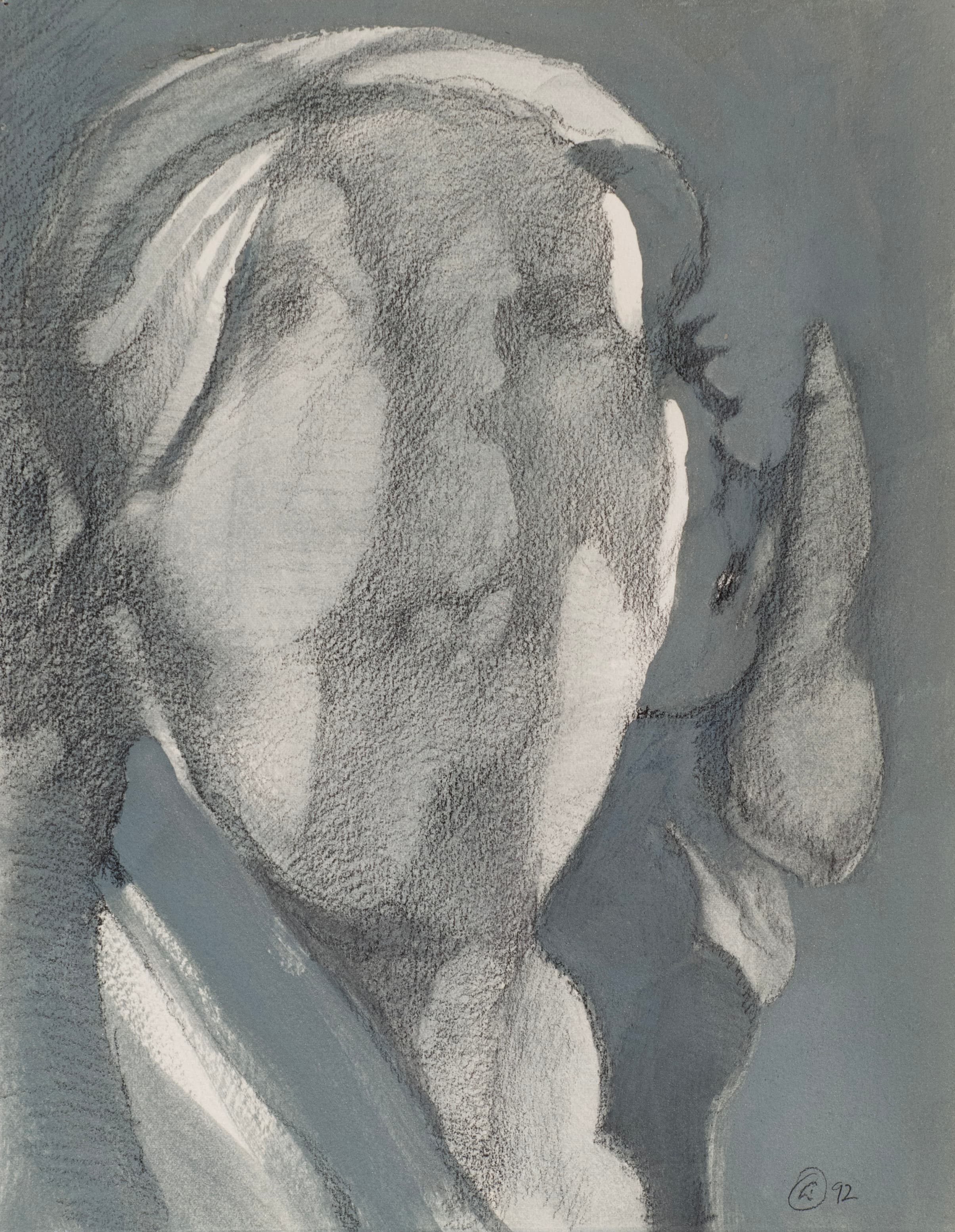 Art with the title "Face, Divided".