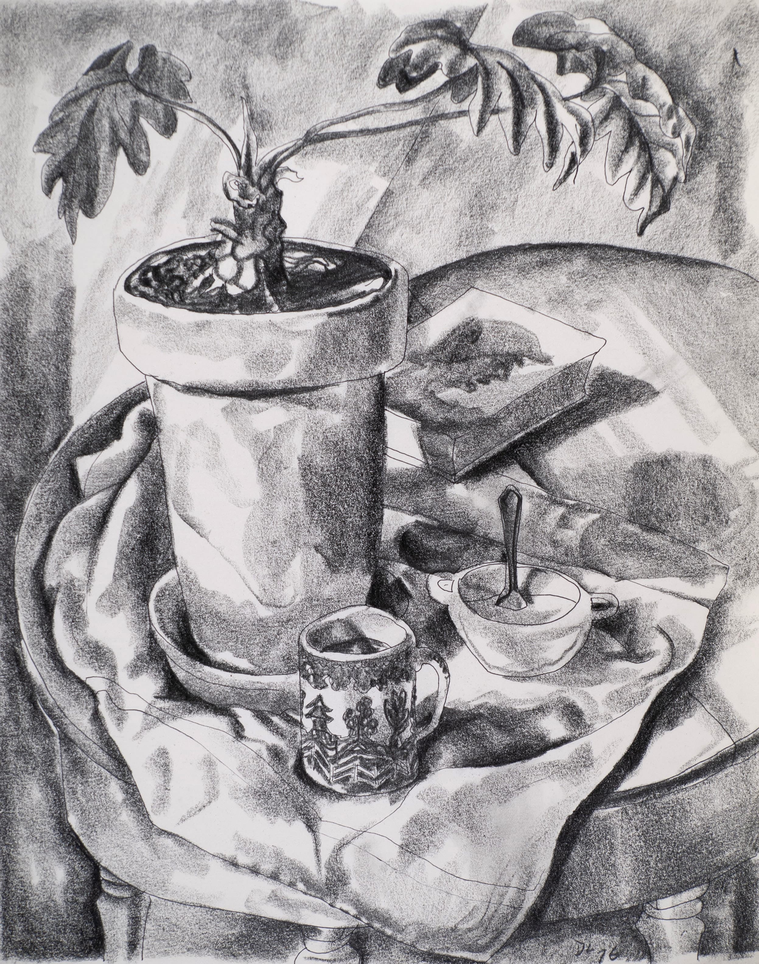 Plant and Dishes on Table