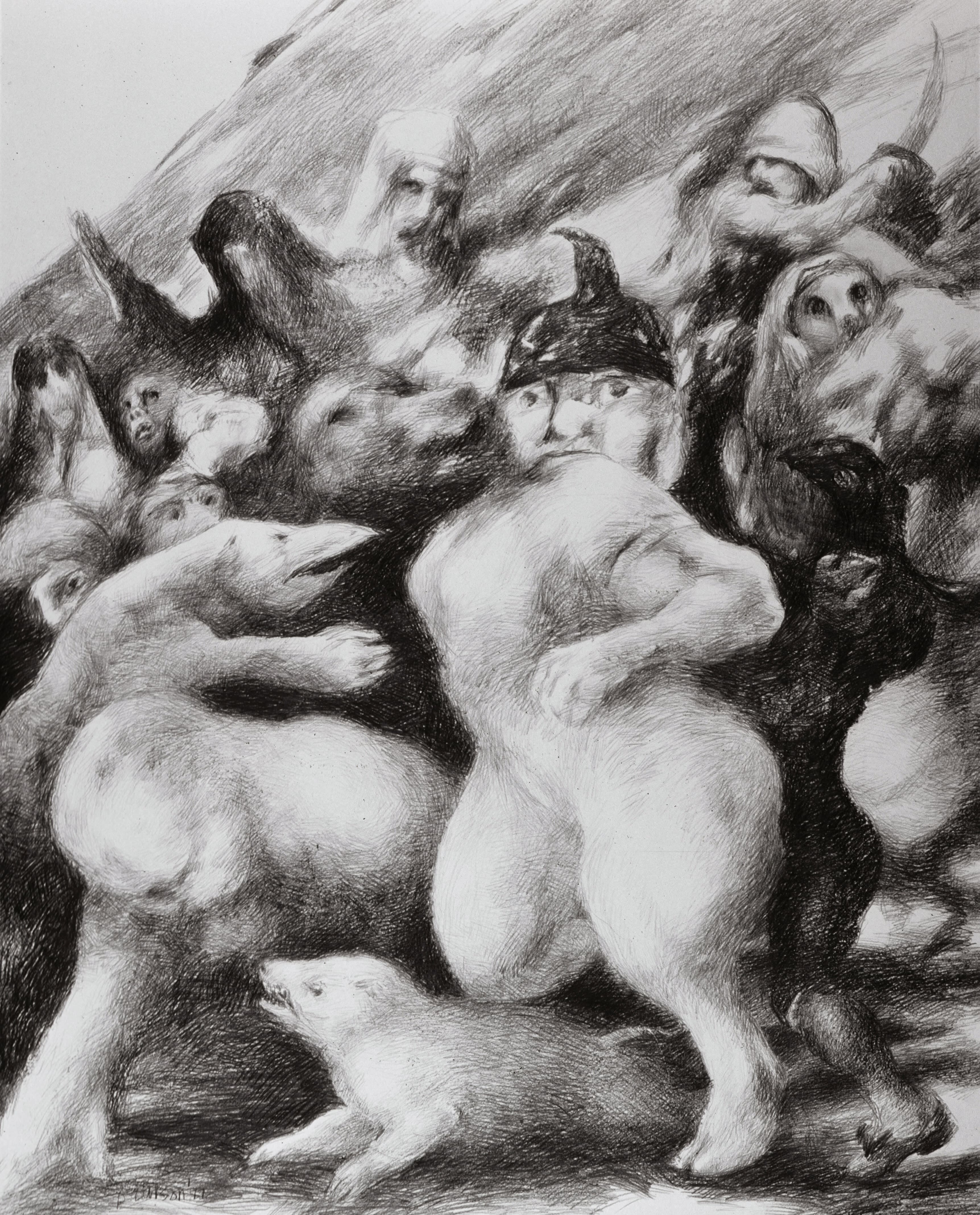 Big Pig. pencil on paper. 38" x 45"