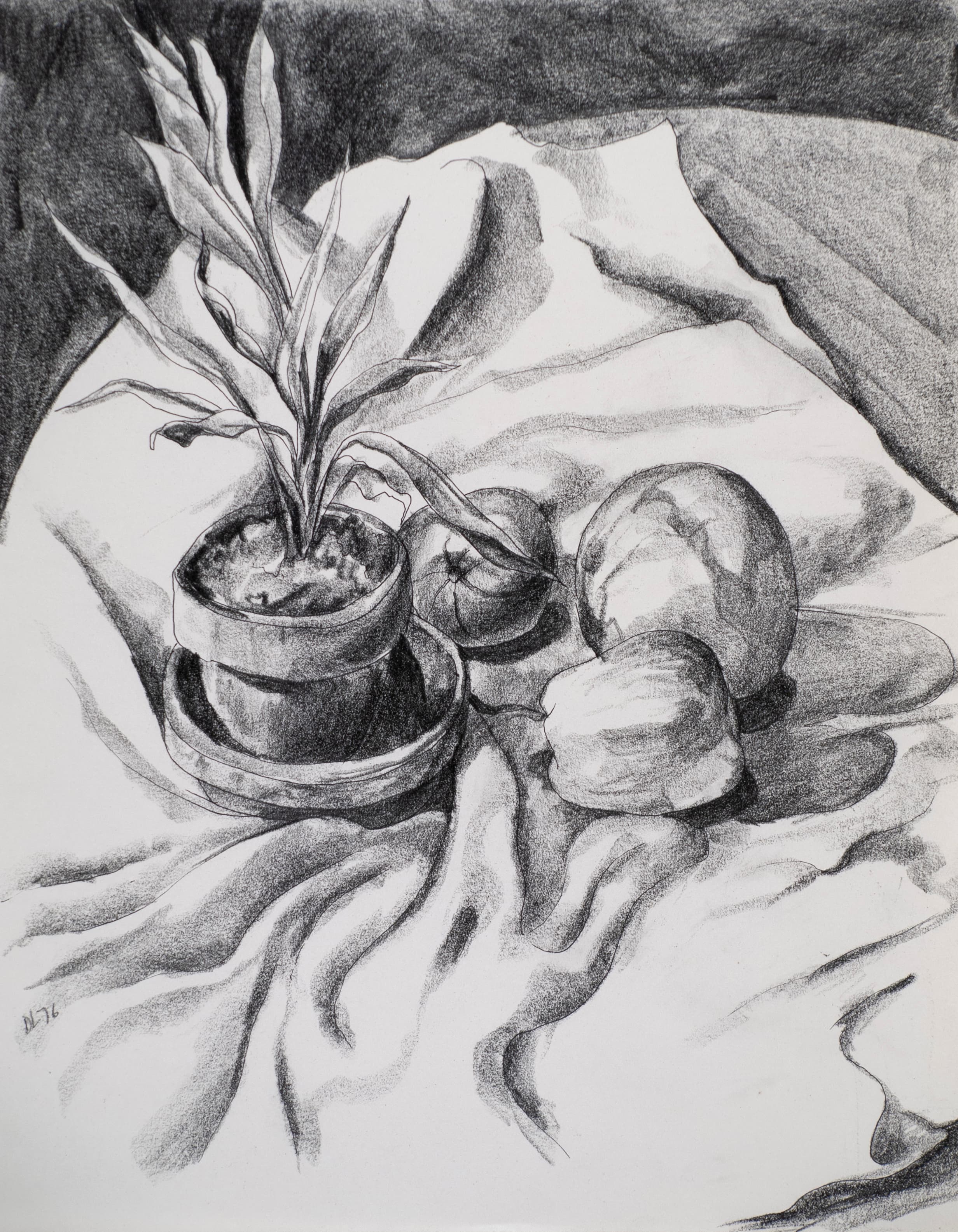 Art with the title "Fruits and Potted Plant on Blanket".