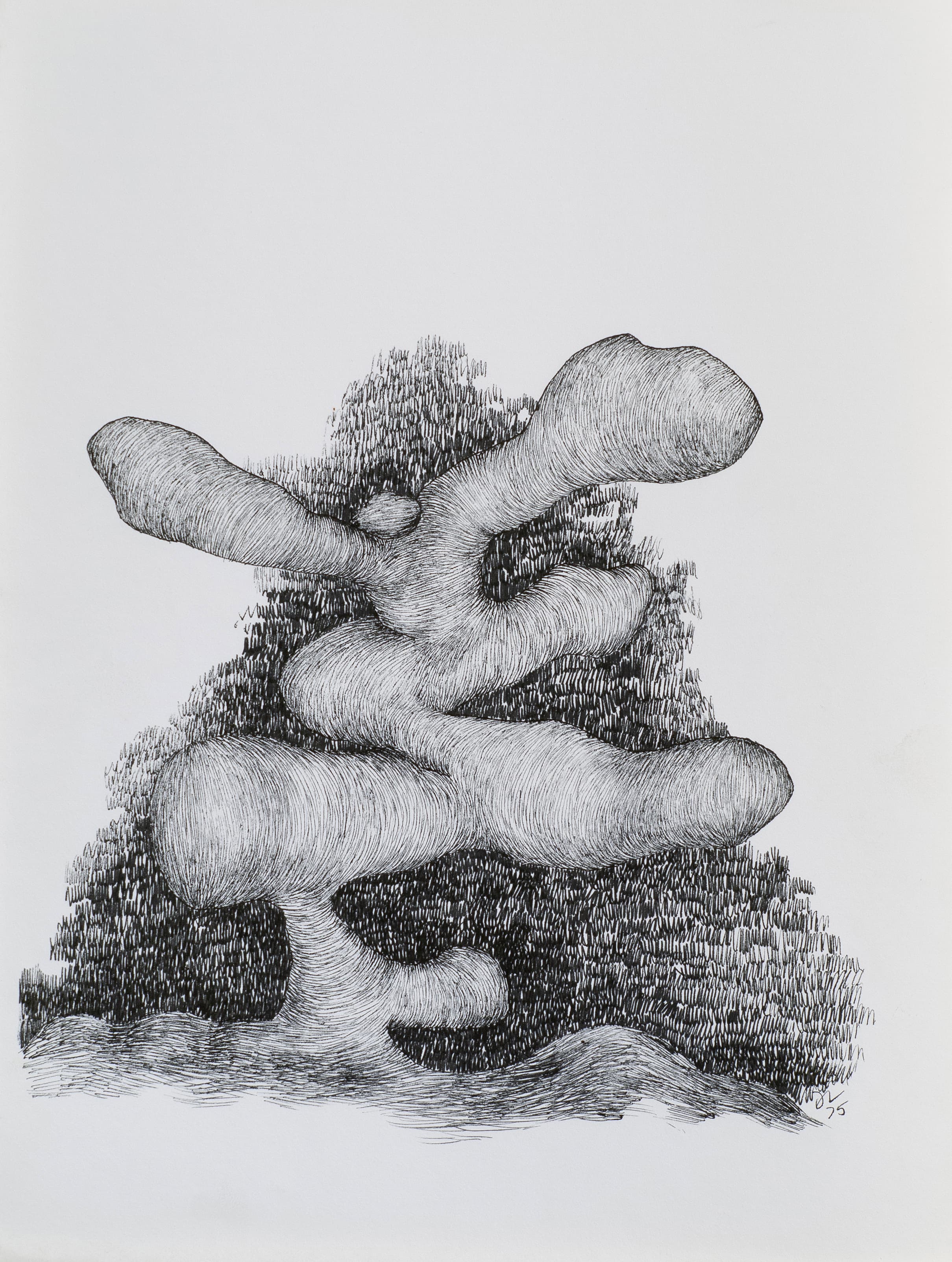 Art with the title "Impossible Plant".