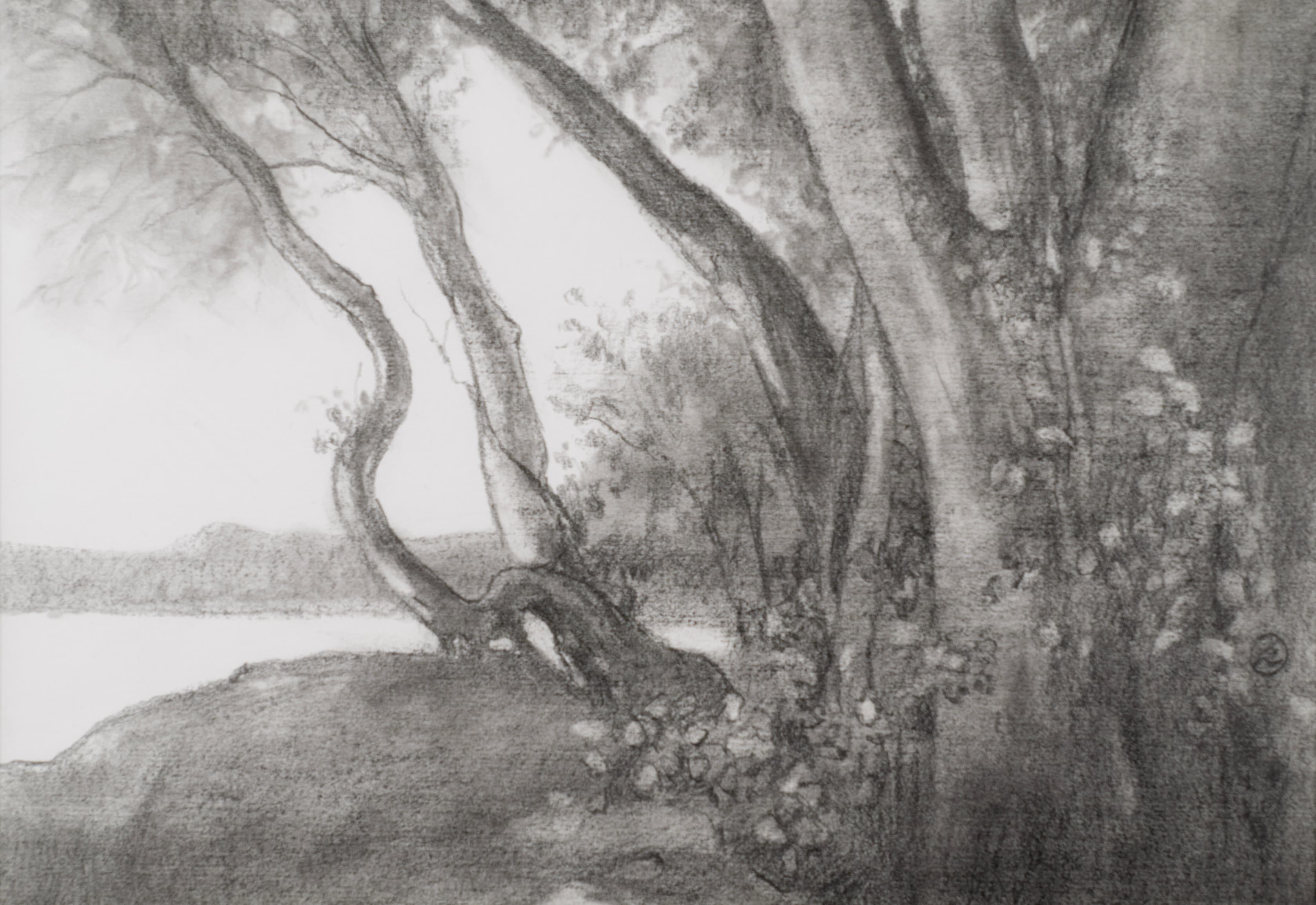Art with the title "Curved Tree after Corot".