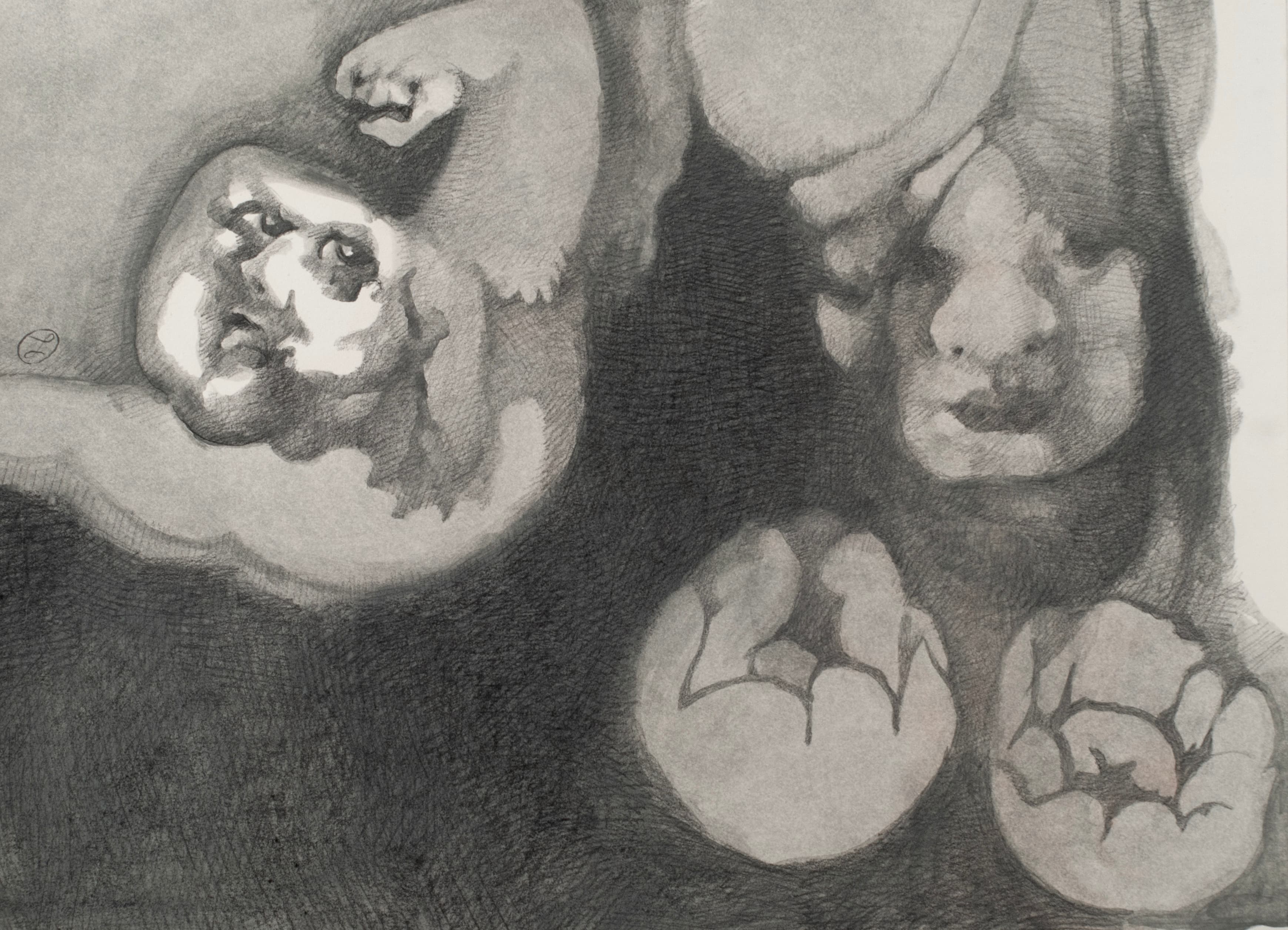 Art with the title "Two Faces Flipable".