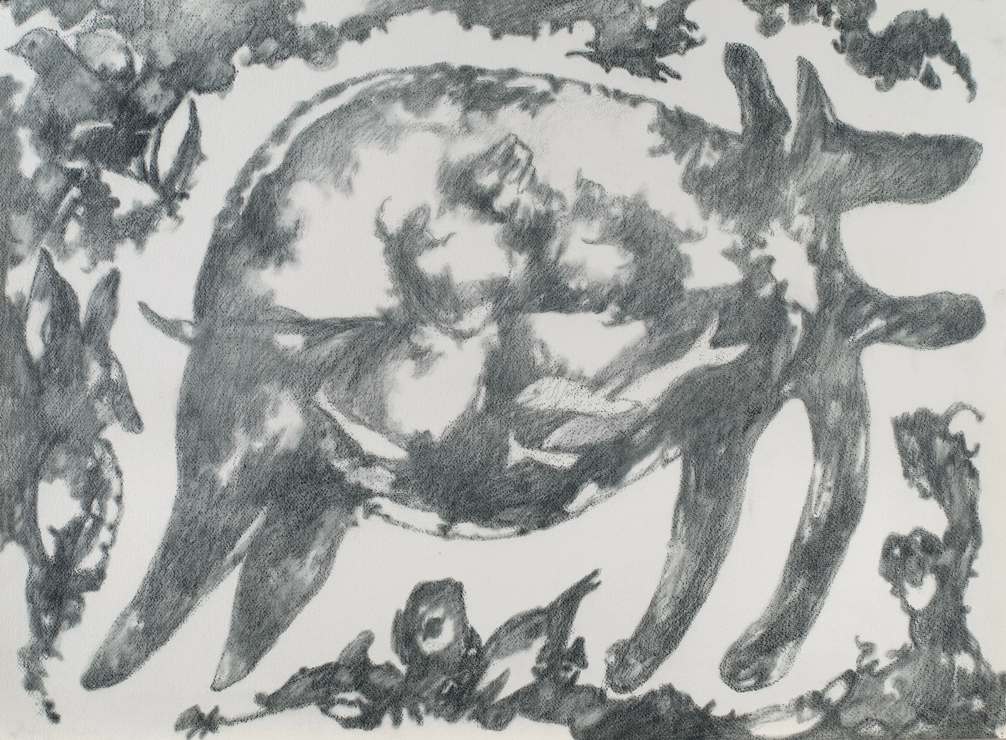 Art with the title "Large Floating Dog".